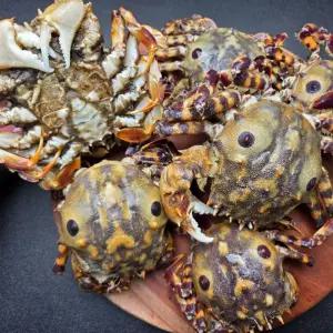 서해안 범꽃게 범게 찜 탕 1kg