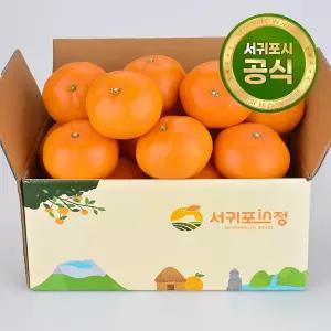 제주농협 서귀포 인정 천혜향 3.5kg