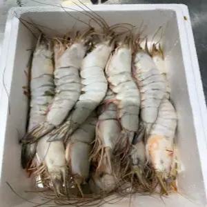 국산 냉동새우 500g