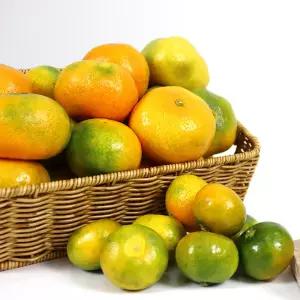 제주 하우스감귤 9kg 2S 소과