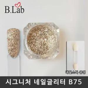 [에스에스_62]뷰랩 셀프네일 네일아트 네일글리터 B75