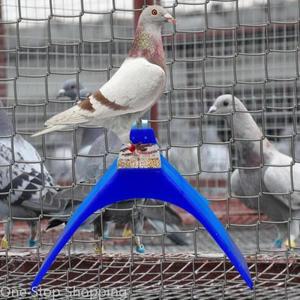 플라스틱 비둘기 퍼치 받침대 스탠드 프레임 새 용품 푸른 앵무새 집 주택 5 10 20개