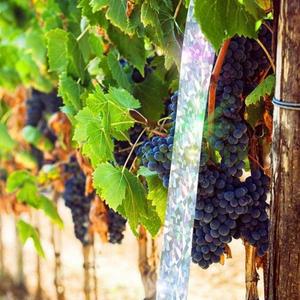 2롤 새 퇴치용 리본 새를 쫓아내 시각적 청각적 반사 테이프 양면 플래시