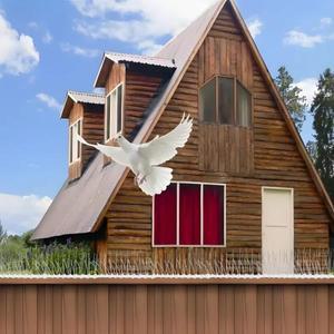 금속 새 퇴치용 스파이너 키트 유해한 새 다람쥐 정원 비둘기 고양이 플라스틱 베이스가  못