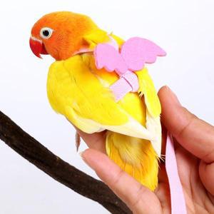 1pc 애완 동물 앵무새 조류 하네스 조정 훈련 가죽 끈 디자인 작은 앵무새 물린 방지 야외 견인