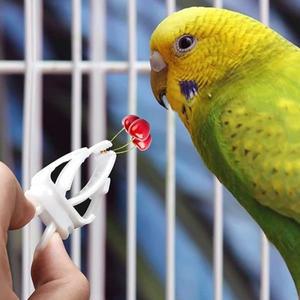 새새장  야채 클립 음식 랙 앵무새  상자 과일 포크 계란 거치대 트레이 6개