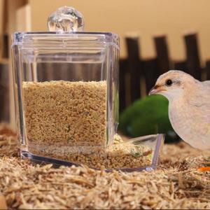 자동 메추리 먹이통 조류 사육용 급식기 앵무새 케이지 새 먹이 공급 시스템 애완 닭용