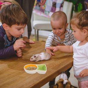 당근 모양 소형 애완동물 급식기  세라믹 햄스터 그릇 기니피그 사료 쥐 먹이 용품