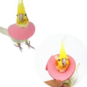 조정 가능한 새 호환 액세서리 물림 방지 페킨 망토  앵무새 원형 목  회복 칼라