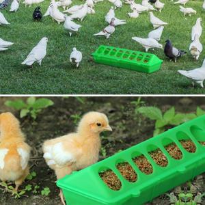 16홀 플라스틱 플립탑 가금류/조류 급이기 바닥형 닭/조류 꿩 고 병아리/비둘기 급이 도구