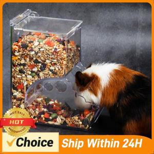 소형 동물 자동 애완동물 사료 급식기 햄스터 투명 디스펜서