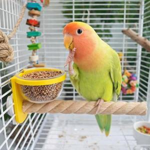 내마모성 새장 먹이통 발톱 연마 미끄럼 방지 앵무새 나무 장대 인터랙티브 새 먹이컵 애완조류 용품