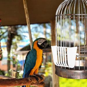 4개의 앵무새 야채 급식기 새장용 호환 걸이형 바구니 간편 설치 카카테일 사료통