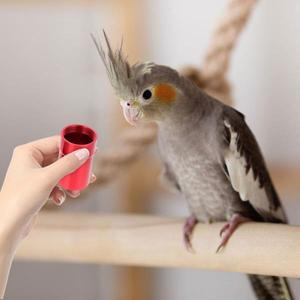 1Pcs 새 먹이 항아리 금속 애완 동물 급식기 상자 앵무새 용기 미끄럼 방지 공급 훈련 도구