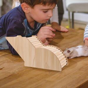 나무 햄스터 은신처 소형 동물 숨숨집 아치형 터널 안전 케이지  등반용 기니피그 쥐용