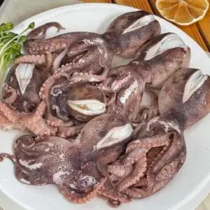 여성 모던한 아가일 배색 체크 니트 가디건 LK-G008