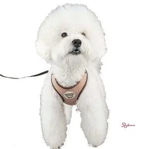 강아지 브라운 1p 가슴줄 하네스 산책 안전줄 매쉬abc633