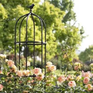 장미오벨리스크 화단 철제 지지대 울타리 포도 아치