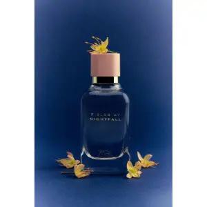 ZARA 자라 FIELDS AT NIGHTFALL 오드 퍼퓸 100ML (3.4 FL. OZ) 143174