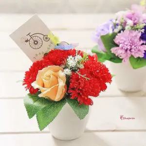 나비 비누꽃 어버이날 레드 화분 카네이션uvw625