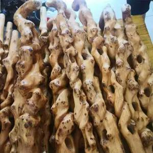 지팡이 감태나무 시각장애인 할아버지 효도 A타입