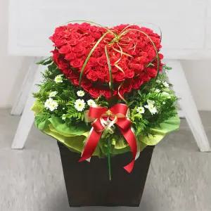 포에버 하트MTFA022