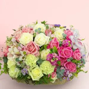 파스텔 스노우MTFA060