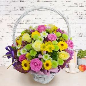 레몬 브리즈MTFA043