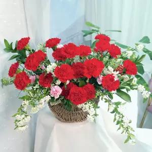 감사와 사랑 레드카네이션MTFA164