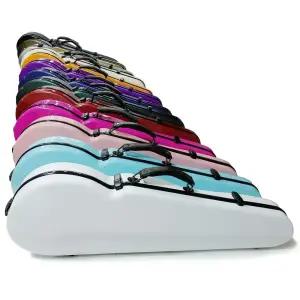 CAN 캐논 바이올린 하드케이스 50종류