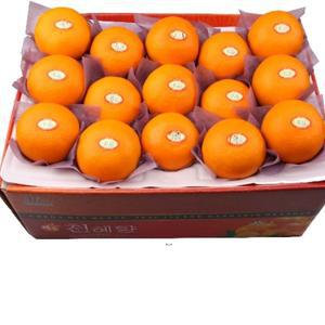 천혜향10kg 특대(34~47과) / 제주