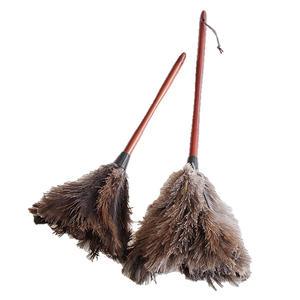 타조 먼지 털이개 먼지털이