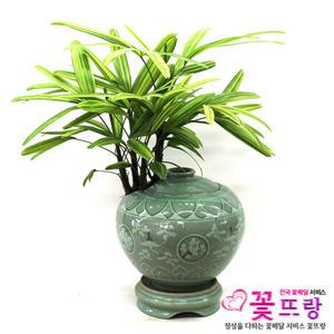 서황금청자항아리 도자기분재/개업/승진/꽃배달서비스