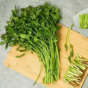 [노안농협] 국내산 세척 미나리 1kg