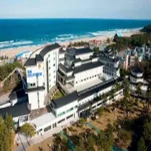 [강원] 동해 보양온천 컨벤션 호텔(강원호텔/동해호텔)