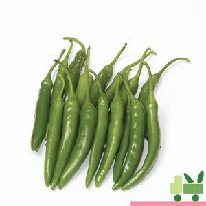 청양고추 5Kg (특)