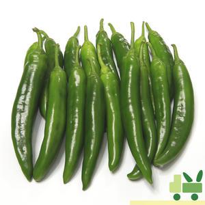 오이고추 1Kg (특)