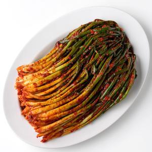 전라도 장성 집밥 파김치 1kg,2kg 포장