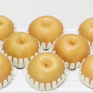 황금열매 전라남도 나주 정품배 15kg 선물용 대과(21-25과)