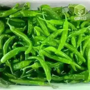국내산 오이맛 아삭이 오이고추 상 5kg