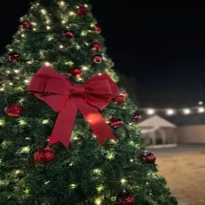 [전남] 담양 라온 글램핑(전남, 담양)