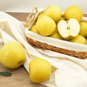 [착한식탁]가정용 시나노골드 사과 10kg 꼬마소과