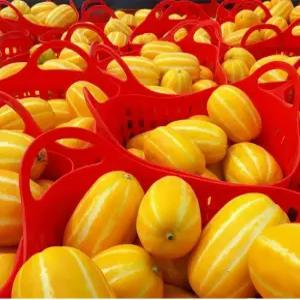 석군 참외 당도선별 가정용 성주참외 혼합과 2kg 실중량