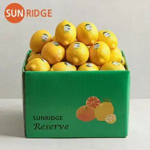 썬리지 직수입 최상급 레몬 중소과 중과 대과 20과