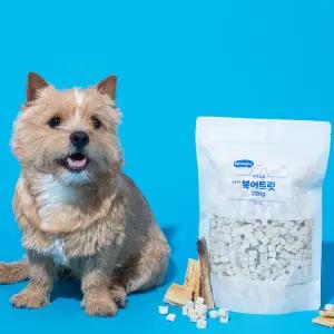 펫프리카 메가 소프트 대용량 북어 트릿 220g 2개 강아지 고양이 동결건조 간식