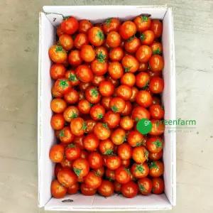 방울토마토 1box (5kg, 2~3번과)