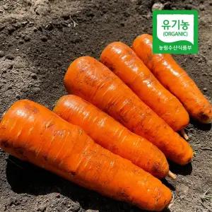(유기농) 제주 당근 (겨울) 중 상 특 3k 5k