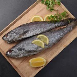 [NS홈쇼핑]여름 보양생선 반건조  민어 300g x 3팩[33059685]