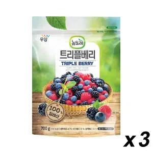 냉동 뉴뜨레 트리플베리 700gx3개입