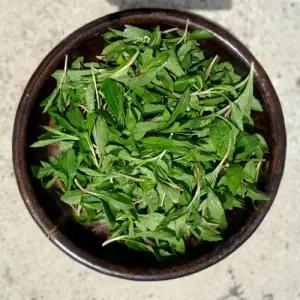 지리산 노지 생 쑥부쟁이 나물 500g 1kg 산지직송 봄나물 산나물